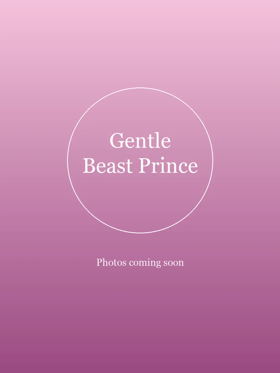 Gentle Beast Prince party character in Boise