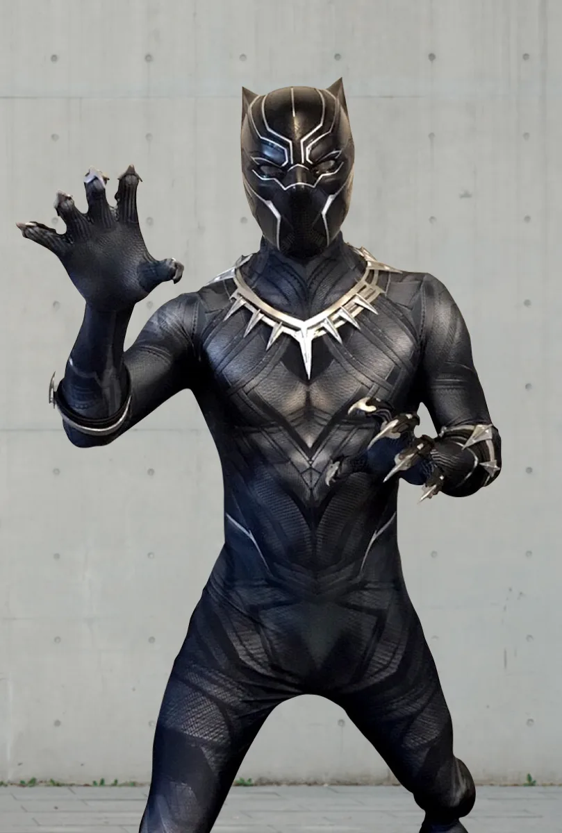 Panther Hero party character photo 1