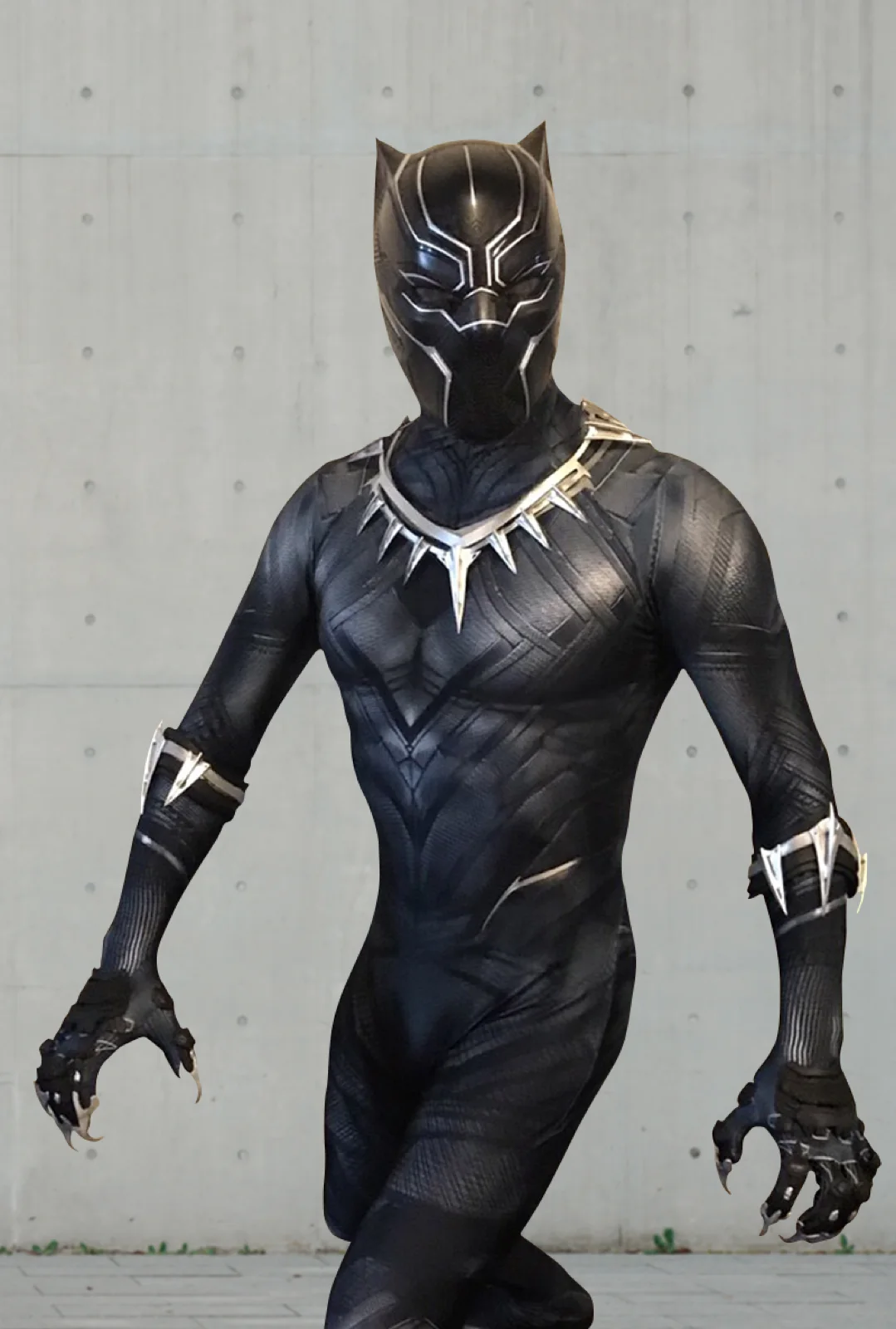 Panther Hero party character in Boise