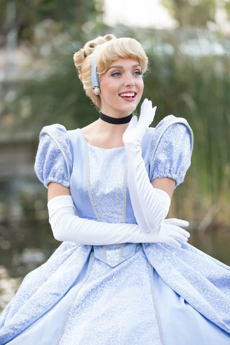Glass Slipper Princess party character photo 1