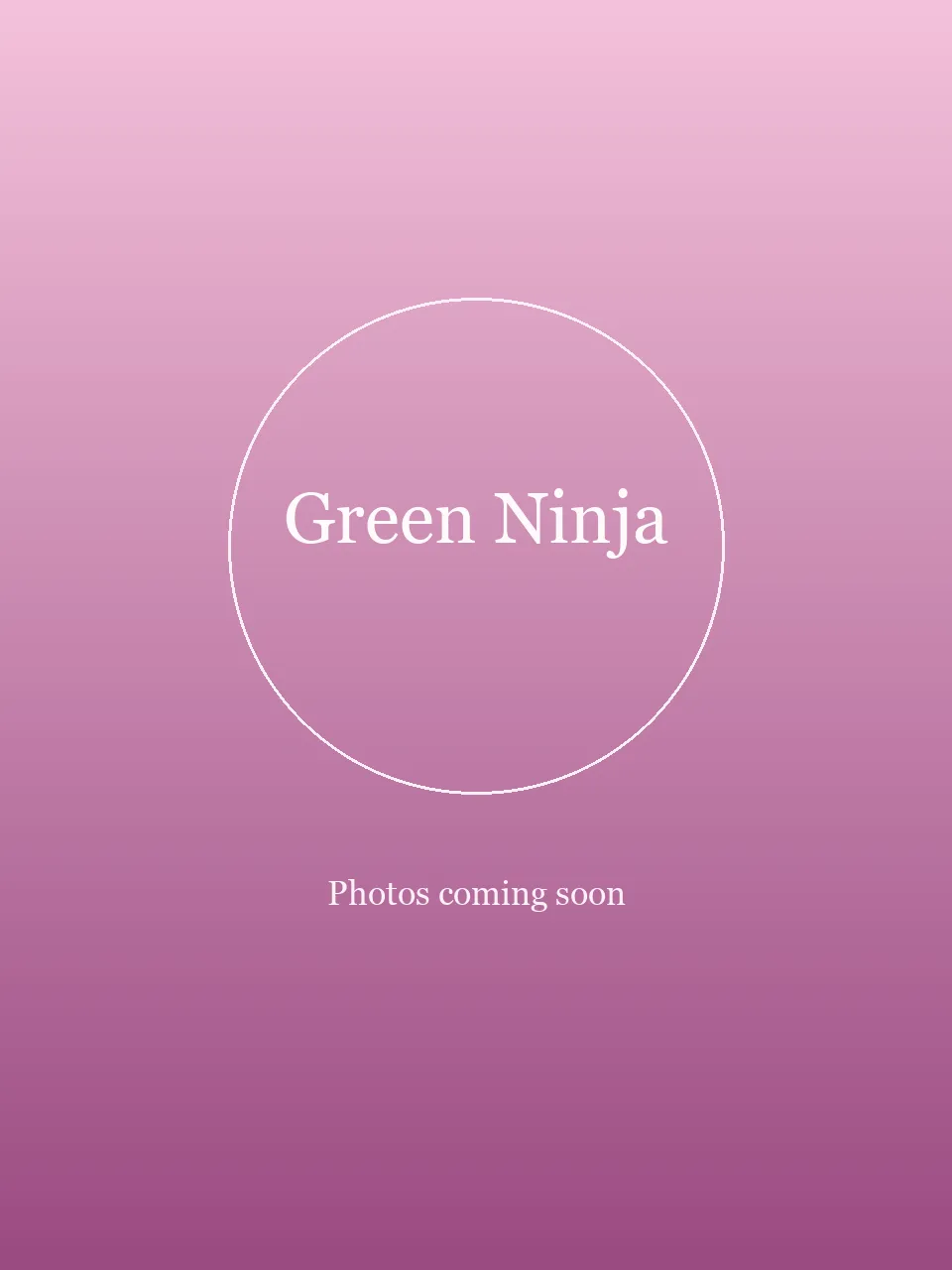 Green Ninja party character in Boise