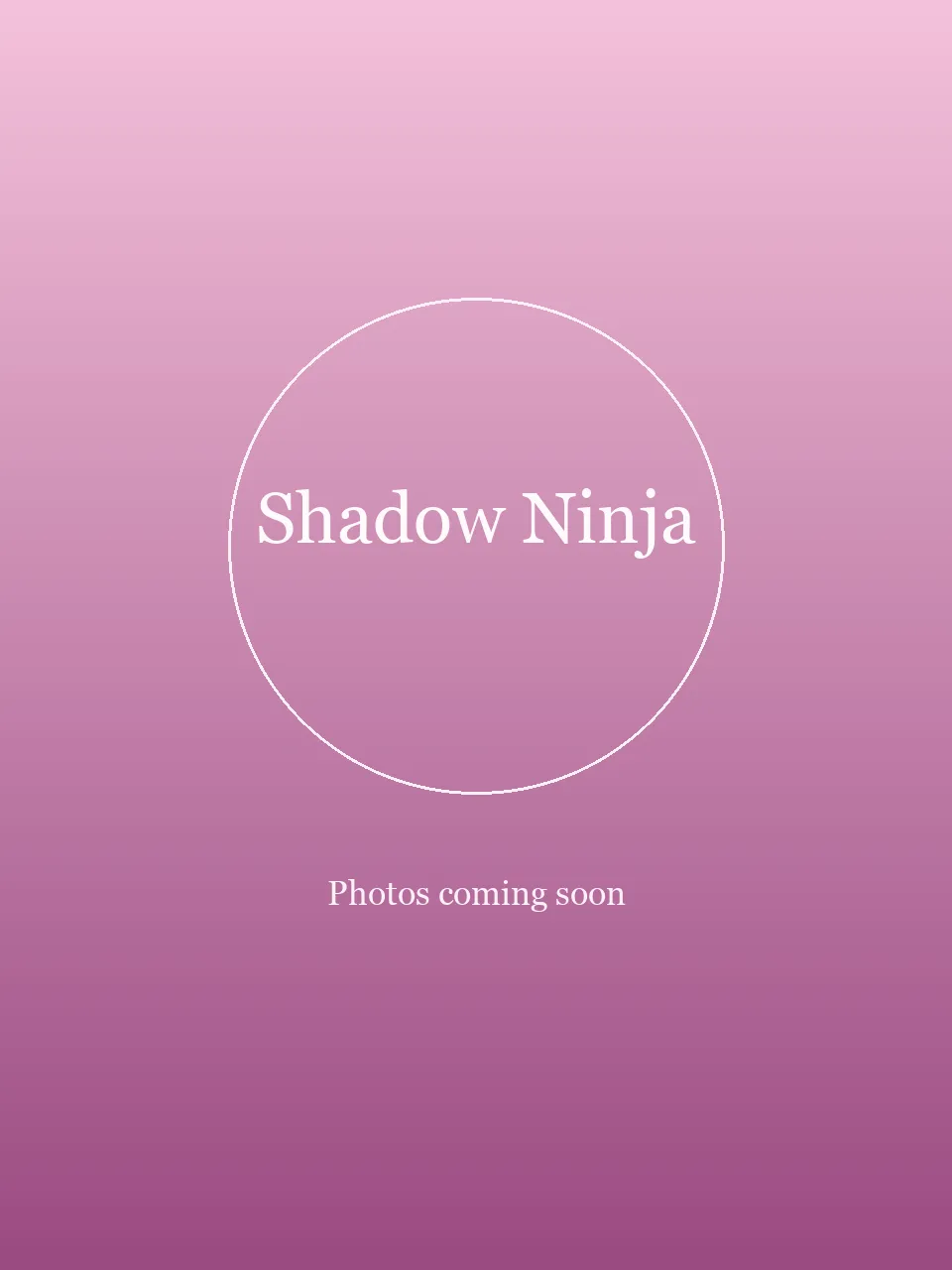 Shadow Ninja party character in Boise
