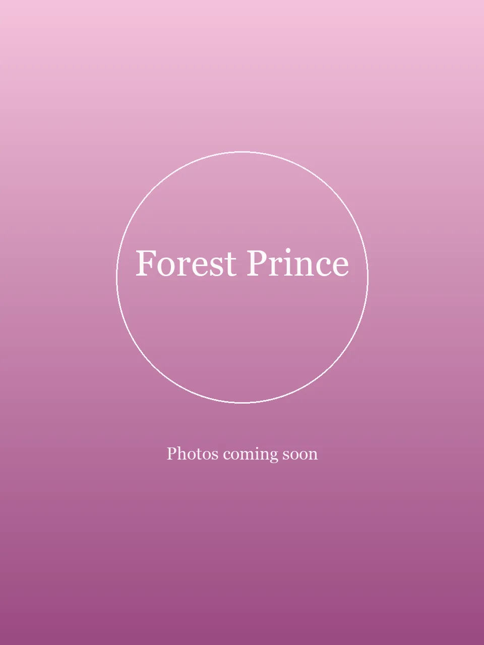 Forest Prince party character photo 2